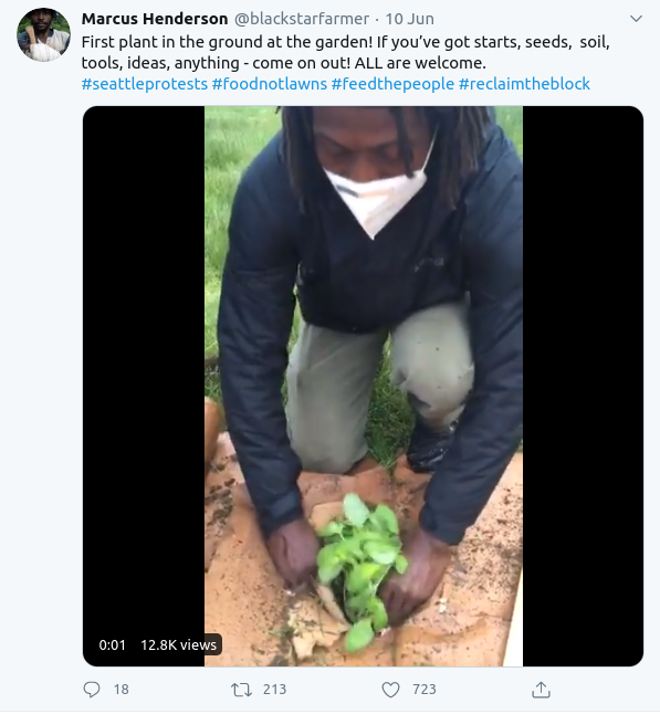garden4.png