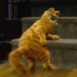 garfield butt.gif