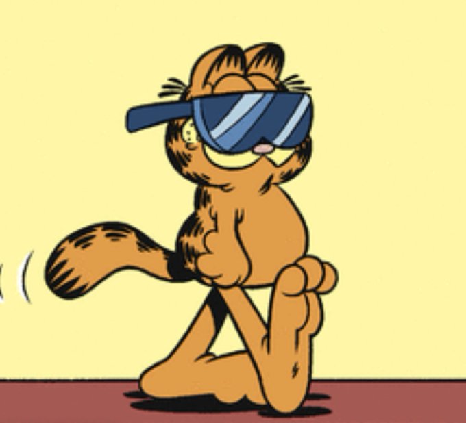 garfield cool.jpeg