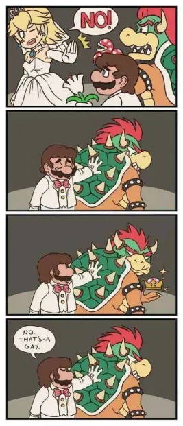 gaybowser.webp