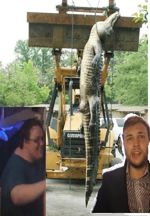 gaytor aborted.png