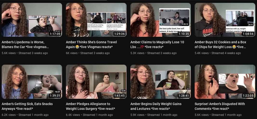 Geese Vids2.png