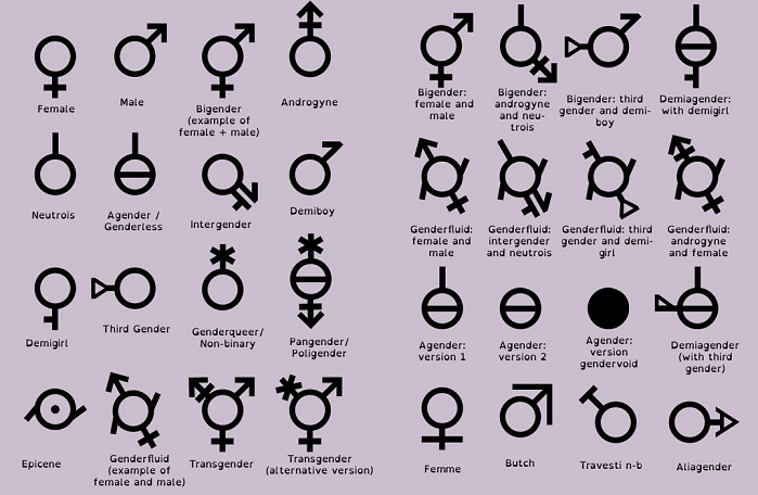 Genders.png