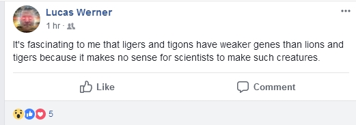 Genetics 2.jpg