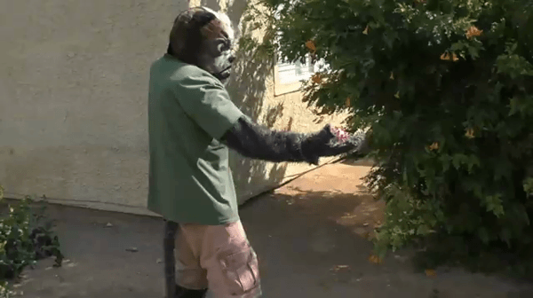 ghettoball1.gif