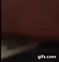 gif (1).gif