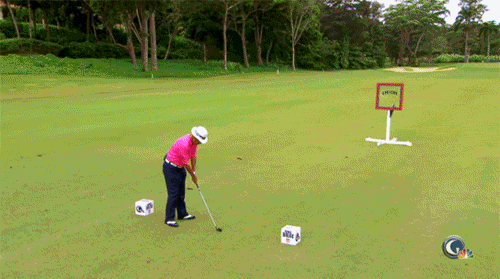 gif301.gif