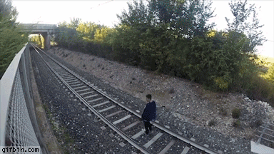 gif310.gif
