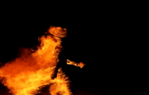 gif561.gif