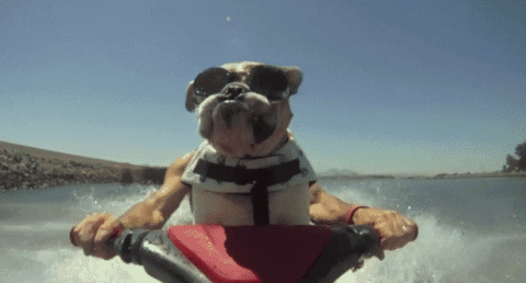 gif960.gif