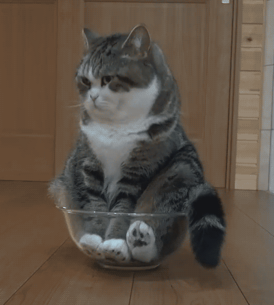 giff4k8phy.gif