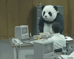 giphy (1).gif