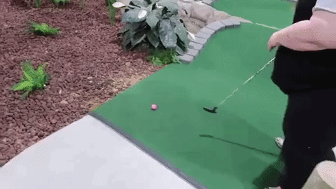 giphy-1-gif.494121