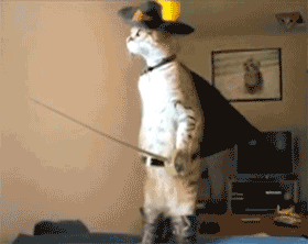 giphy (2).gif