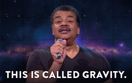giphy (3).gif