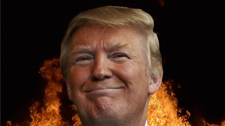 giphy-31.gif