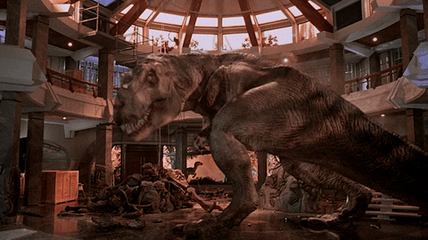 giphy(7).gif
