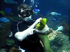 giphy(8).gif