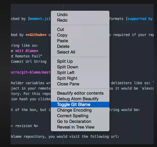git blame.webp