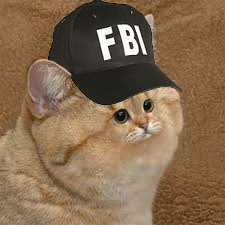 glowkitty.jpg