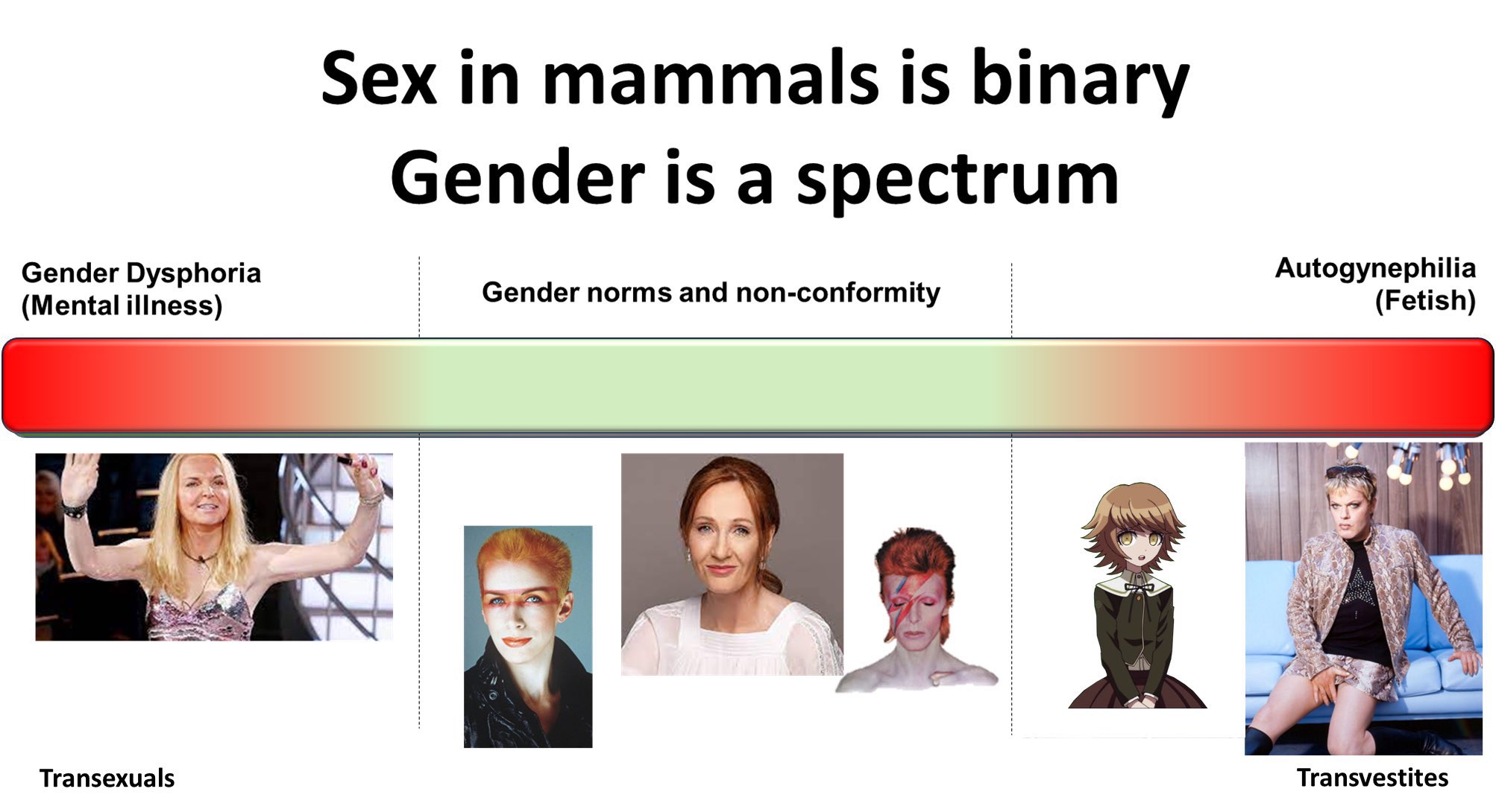 GNSZ3bCXsAAgX6S.jpg