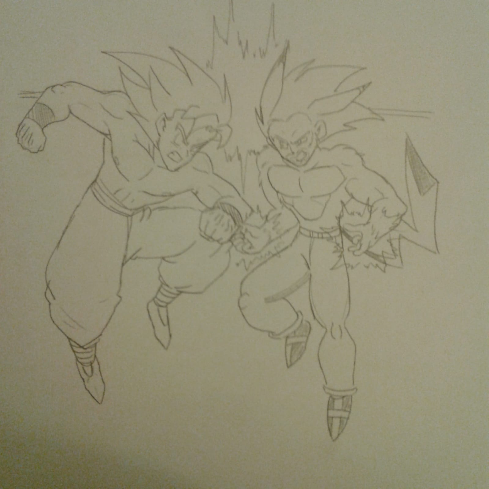 gokuvschris2.jpeg