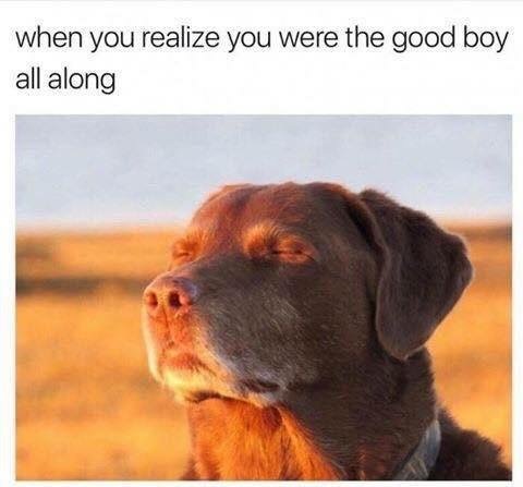 goodboy.jpg