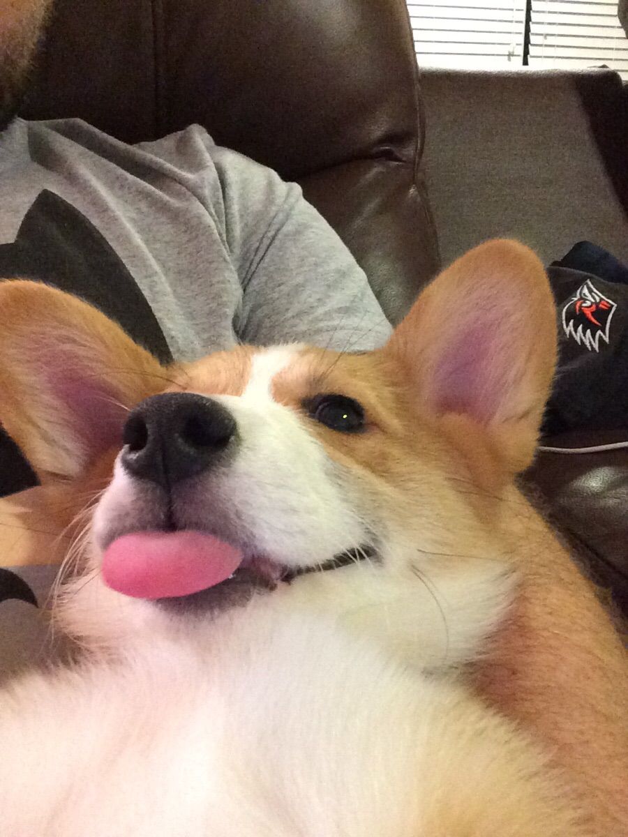 goodboye.jpg