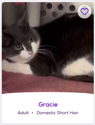 gracie.png