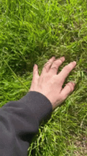 grass-touching.gif