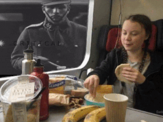 greta.gif