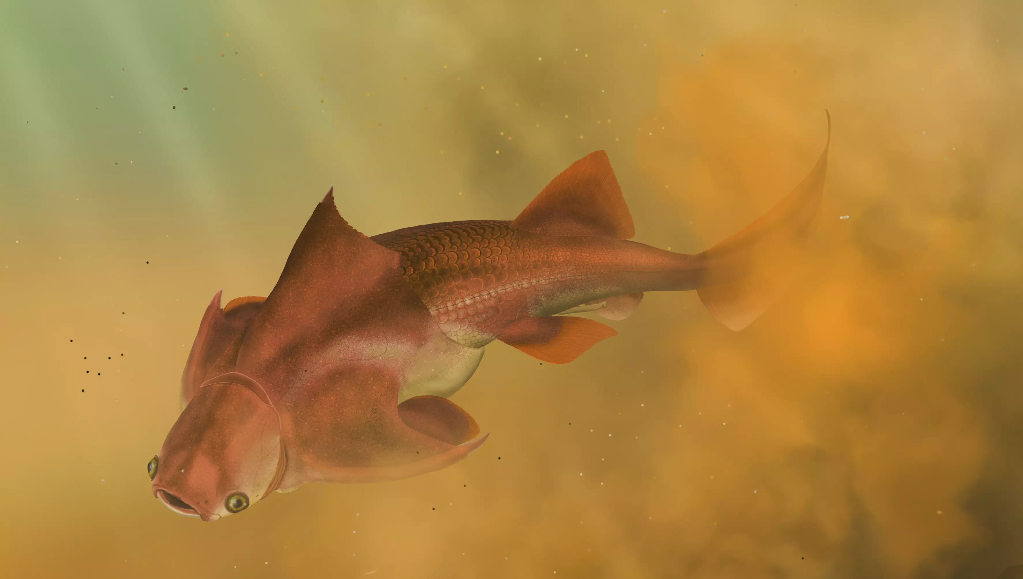 groenlandaspis.webp