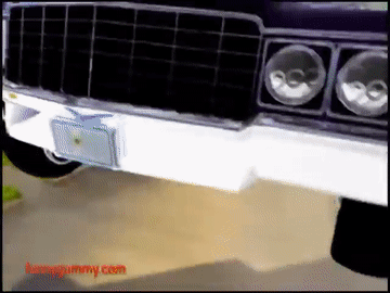 gummibar.gif