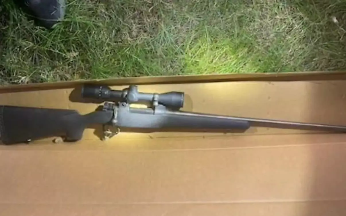 gun.webp