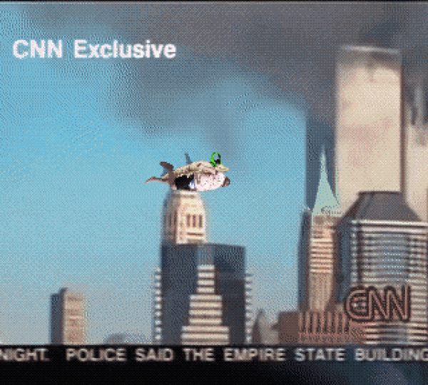 Gunt_11.gif