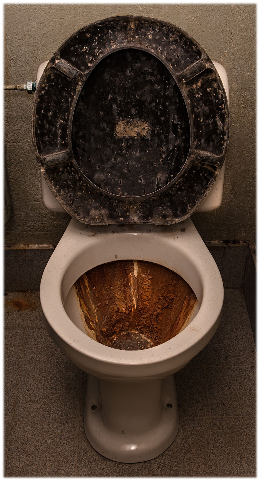 h6.jpg