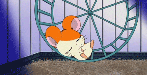 Hamster.gif
