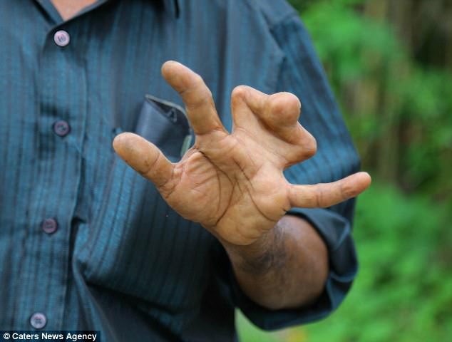 hand.jpg