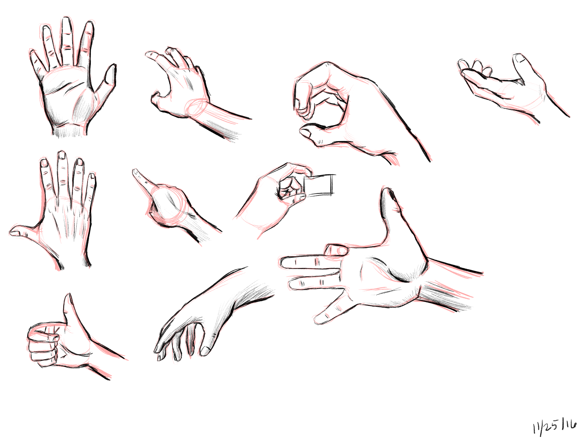 hand study 1.png