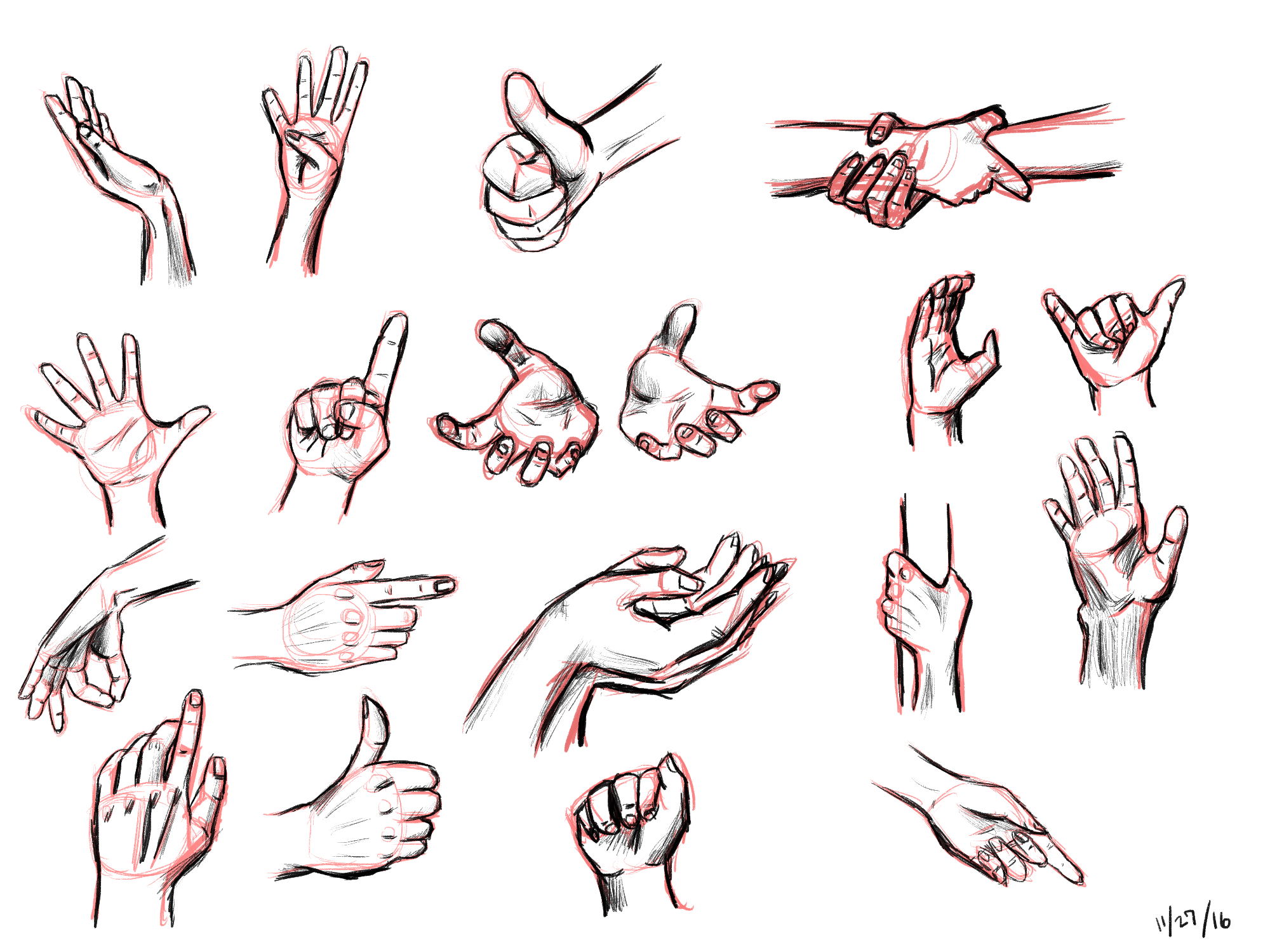 hand study 2.png
