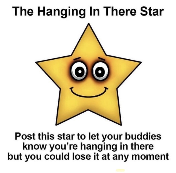 hang in there star.jpeg