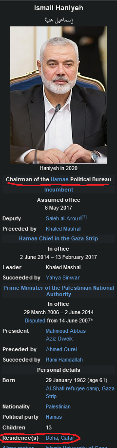 haniyeh.png