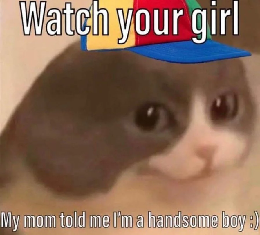 hanndsome.webp