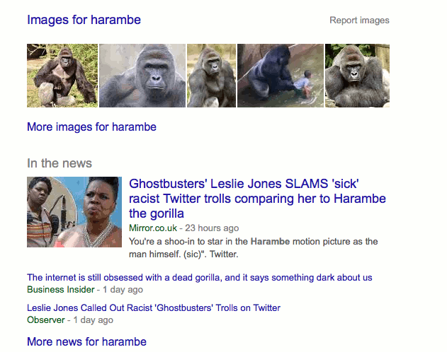 HARAMBEMEME.gif