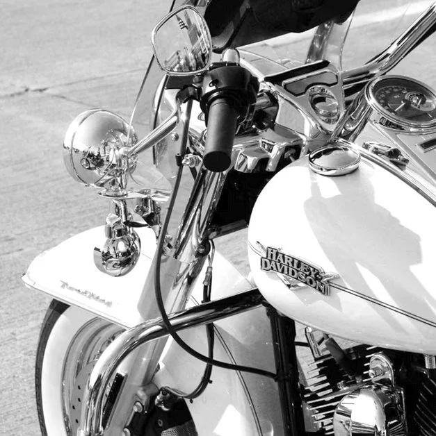 Harley.webp