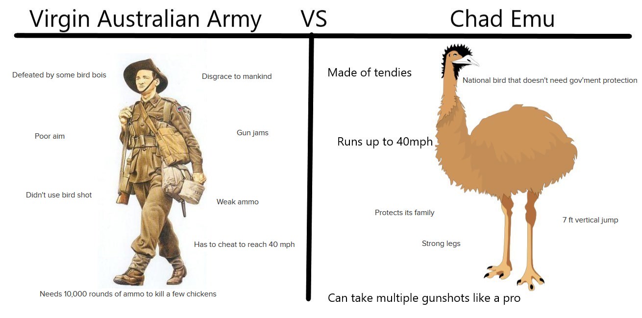 HD6ExBH.jpg