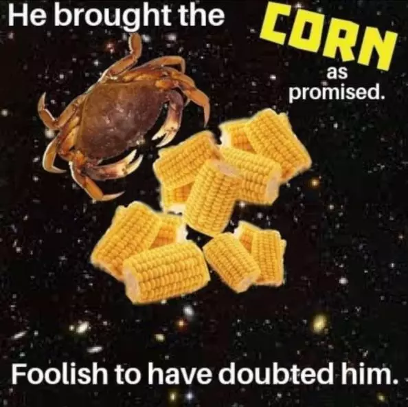 HE BROUGHT THE CORN AS PROMISED.webp