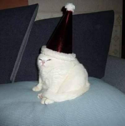 hehe.jpg