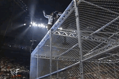 hell in a cell.gif