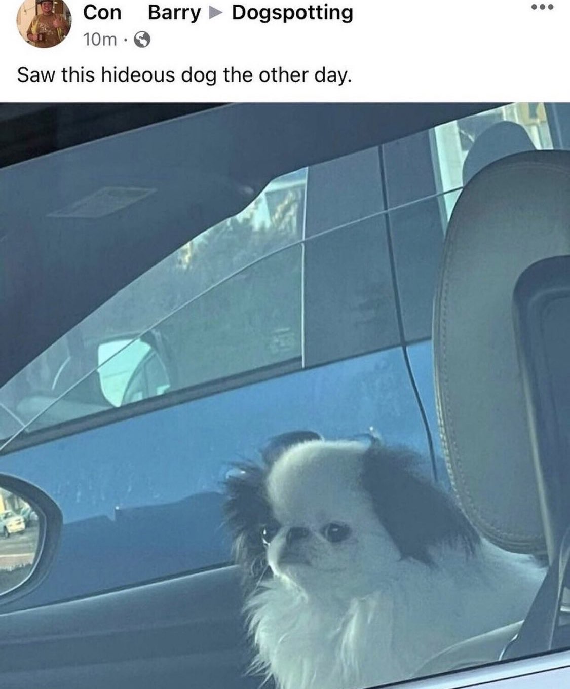 hideous dog.jpg